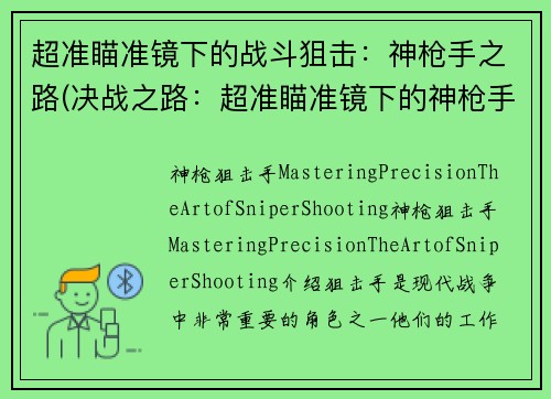 超准瞄准镜下的战斗狙击：神枪手之路(决战之路：超准瞄准镜下的神枪手)